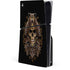 Skull and Owl by Sarah Richter PlayStation PS5 Skins